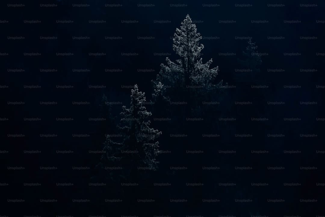 立异消费场景,商圈好买更好逛